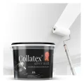 collatex-silver-mat-01a.jpg