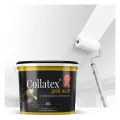 collatex-gold-mat-01a.jpg