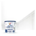 Collatex Home White do malowania samodzielnego