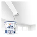 Maluj jak specjalista z Collatex Home White
